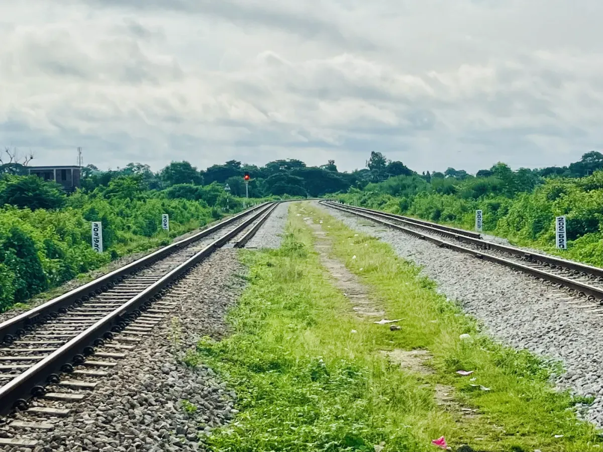 Zwei parallele Bahngleise führen nebeneinander durch grüne Böschungen in die Ferne