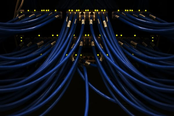 Blaue Netzwerkkabel laufen gebündelt in ein Patchpanel mit leuchtenden Ports